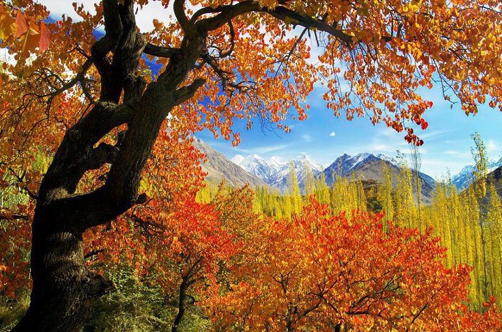 Hunza Valley Autumn Tour